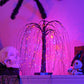 🎃 2026 Sale — Over 28,000 Sold! 👻 Halloween Tree Lights – Spooky Purple & Orange Glow ✨