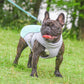 🐶Last Day Sale 50% OFF❄️🐾 Dog Summer Ice Cooling Protective Vest