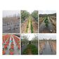 🧵 Weed Control Fabric – Blocks Sunlight, Breathable & Perfect for Garden Beds & Pathways 📉