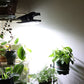 ✈50% OFF & Free Shipping ✈Solar Outdoor Clip Lights with Motion Sensor