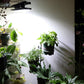 ✈50% OFF & Free Shipping ✈Solar Outdoor Clip Lights with Motion Sensor