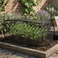 🌱 50% OFF NOW! ✨ Foldable Pop-Up Plant Mesh Cover – Protects Plants, Breathable Design & Easy Setup 🌿