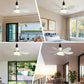 ⏳LAST DAY SALE 50% OFF🔥40W LED Ceiling Fan Light – 20.5” Ultra-Quiet with Remote 🎯 | E27 + FREE B22 Adapter 🔌 | For Bedroom 😴, Kitchen 👩‍🍳 & Garage 🛠️ – UK Ready! 🇬🇧