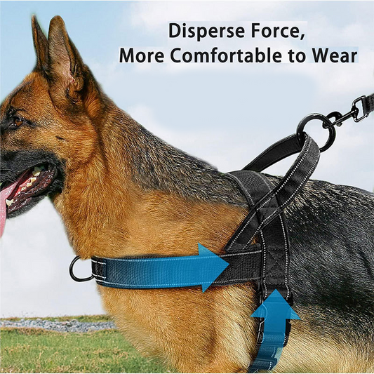📢📢60% OFF !! ⏰ Heavy‑Duty Tactical Dog Harness – No‑pull, no‑choke. 🛡️✨