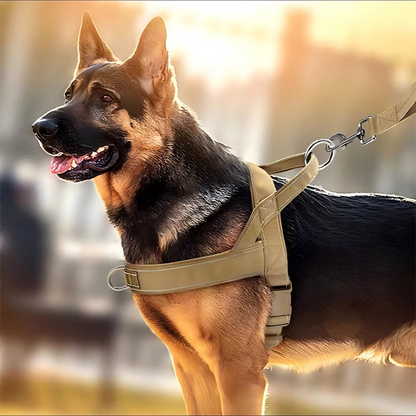 📢📢60% OFF !! ⏰ Heavy‑Duty Tactical Dog Harness – No‑pull, no‑choke. 🛡️✨