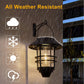 🔥While Supplies Last 40% OFF!🎉 Solar Powered Hanging Lantern Light