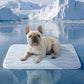 ❄️2026 Summer Hot Sale 49% OFF🧊Bedsure Cooling Thin & Thick Mat for Dogs🐶 – Q-MAX>0.4 Washable Pet Cooling Pad, No Gel, No Electric, Non-Slip Summer Crate Bed for Large Dogs