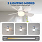 2-in-1 Remote-Controlled Ceiling Fan with LED Light – Energy-Efficient, Quiet Motor & Perfect for Home Comfort 🏠