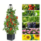 Garden Raised Bed Planter Boxes with Trellis