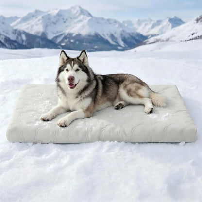 🐶❄️Instant Cooling Pet Mat