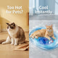 🐾Inflatable Cooling Water Bed for Cats