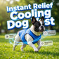 🐶🐱❄️Cooling Dog Vest