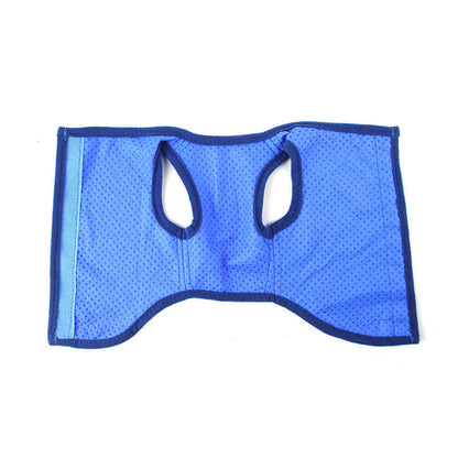 🐶🐱❄️Cooling Dog Vest