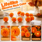 🌼LAST DAY SPECIAL £12.99! 🎃Artificial Marigold Flower LED String Lights – Waterproof 8 Lighting Modes, 20 LEDs Battery Powered, Decor for Halloween, Day Of The Dead Altar, Porch & Indoor Festival Decor