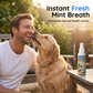 🐾💧No-Brush Pet Dental Spray