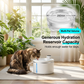 🥳2026 HOT SALE🥳💞50K+ SOLD!🐱💧 50% OFF! Cordless Automatic Cat Water Fountain – No wires, no outlet needed. Place anywhere – living room, bedroom or kitchen. Safe & stylish! 🏠✨