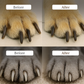 🐾Pet Nail Clippers with LED Light