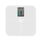 Precision Body Fat Scale