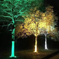 📢📢50% OFF !! ⏰IP65 Waterproof Outdoor Ring Tree Light