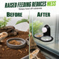 ⏳🔥LIMITED-TIME 50% OFF! ⏰ Double Reptile Feeding Ledge with Bowls – Secure Suction Hold & Removable Cups🦎