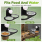 ⏳🔥LIMITED-TIME 50% OFF! ⏰ Double Reptile Feeding Ledge with Bowls – Secure Suction Hold & Removable Cups🦎