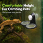 ⏳🔥LIMITED-TIME 50% OFF! ⏰ Double Reptile Feeding Ledge with Bowls – Secure Suction Hold & Removable Cups🦎