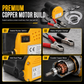 12V 24V Portable Electric Self Priming Transfer Pump Micro Diesel Oil Extractor for Cars